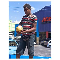 caribbean coconut seller kingstown
 st vincent  photo stock