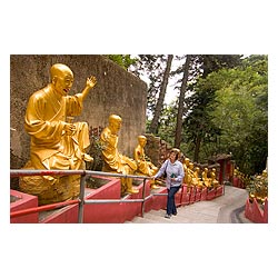hong kong shatin 10000 buddhas monastery tourist  photo stock