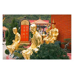 hong kong golden buddha statues monastery temple  photo stock