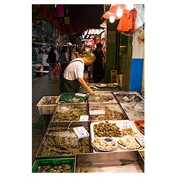 north point hong kong food market fish market  photo stock