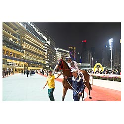 horse racing hong kong happy valley racecourse  photo stock