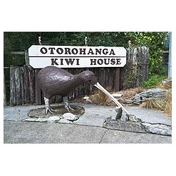 model kiwi house otorohanga new zealand aviary  photo stock