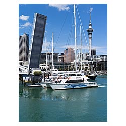 auckland tourism viaduct harbour cruise boat trip  photo stock