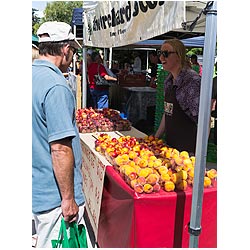sunday markets hawkes bay fruit new zealand  photo stock