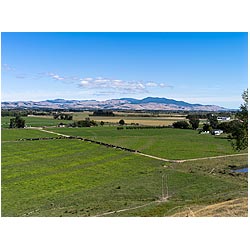 wairarapa valley new zealand farming fields  photo stock