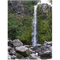 dawson falls taranaki tourist new zealand egmont  photo stock
