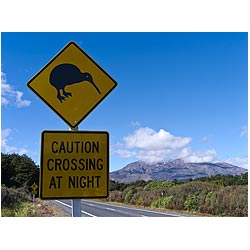 new zealand sign road kiwi warning mt ruapehu  photo stock