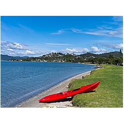 kayak new zealand seafront canoe coromandel tairua  photo stock