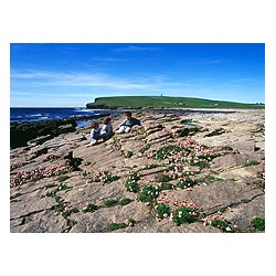  - Children and Sea pinks Armeria maritima on rocks scottish islands coast  photo 