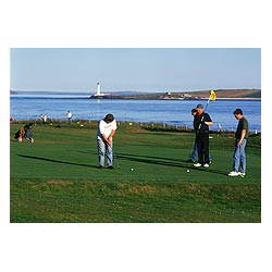 Golf course - Golfers on putting green Stromness golf course men  photo 