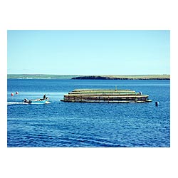 Norquay Fish Farm - Boat arriving at fish cages farmer  photo 