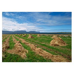 Bay of Ireland - Rows of hay and coles Scapa Flow Hoy hills agriculture field Scotland rural  photo 