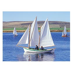Longhope Regatta - Traditional Orkney Yole sailing boats white sheet sails  photo 