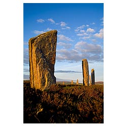  - Neolithic standing stones henge circle with heather  photo 