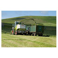 Kirbister - Silage harvesting combine harvester tractor and grass trailer  photo 