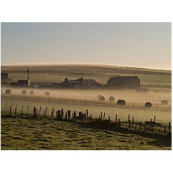 farm - Orkney farmhouse field  bales of hay morning mist british autumn house uk  photo 