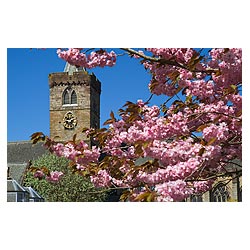 Dunblane cathedral - UK Church clock tower springtime cherry blossom tree branches scotland  photo 