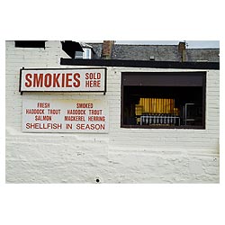 arbroath smokies - Arbroath smokies ready for smoking Smokies sign and kiln  photo 