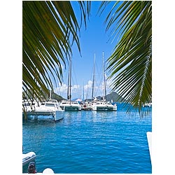 bvi yacht sopers hole tortola
 caribbean harbor  photo stock