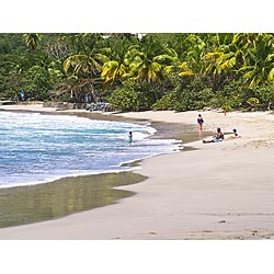 caribbean island family
 vacation beach sunshine  photo stock