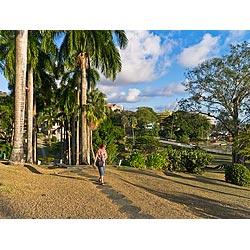 botanic gardens trinidad tobago
 caribbean  photo stock
