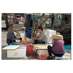 fish market hong kong aberdeen shellfish women hk  photo stock