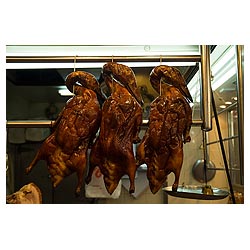 hong kong cooked goose chinese meat food display  photo stock