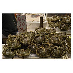 live crabs hong kong trussed tied fresh sale stall  photo stock