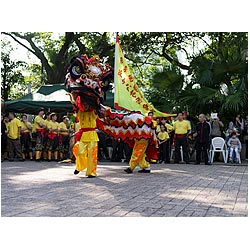 hong kong lion dance performing boys chinese  photo stock