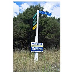 kiwi protection area new zealand kiwi zone sign  photo stock