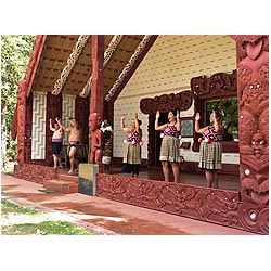 new zealand maori greeting waitangi marae people  photo stock