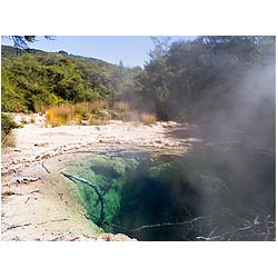 thermal springs new zealand steaming hot pools  photo stock