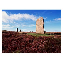Neolithic standing stone - Scottish historical sites stone circles heather site uk scotland highlands  photo
 