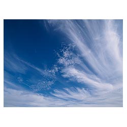 Cloud - White whispy cloud and blue sky copyspace background texture cirrus clouds  photo 