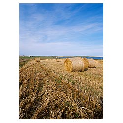  - Scotland Harvested bales stubble field autumn harvest hay fields blue sky  photo 