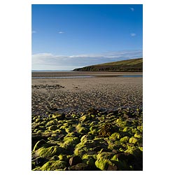 Waulkmill Bay - Yellow green Seaweed rocky shore sandy bay and Veness  photo 
