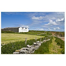 Scapa Whisky Distillery - Scapa Flow footpath and path scotland  photo 
