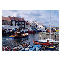 Fishing boat harbour - Berwickshire Scotland departing yachts and boats at quayside waterfront houses  photo
 