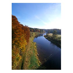  - Autumnal golden brown trees river bank footpath angler fly fishing scotland  photo 