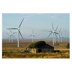 Causeymire Wind Farm - Npower renewables RWE Wind Turbine uk windfarm scotland turbines windfarms  photo 